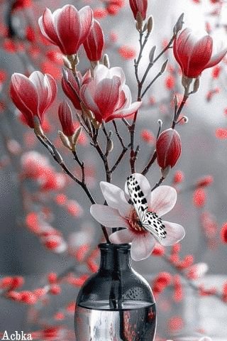 file_96889588