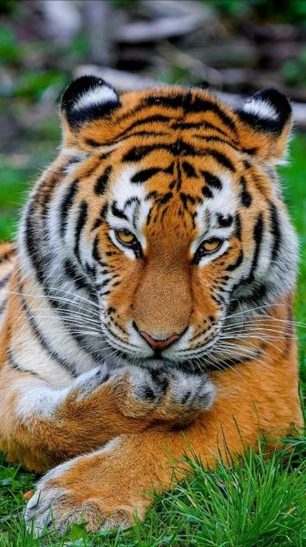 file_94697880