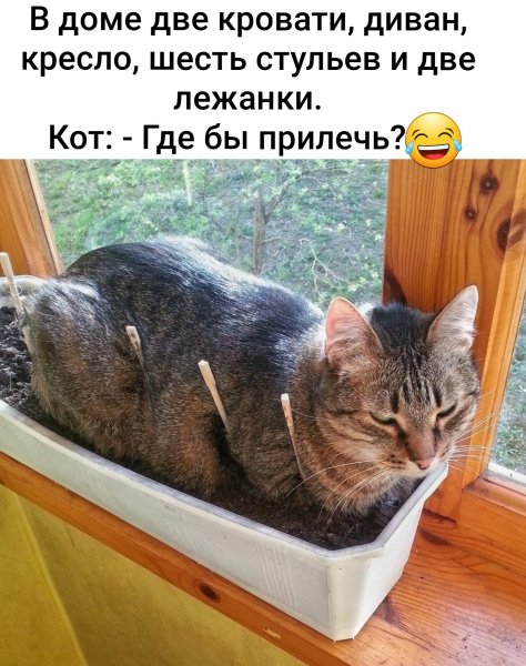 IMG 20260501 132757
