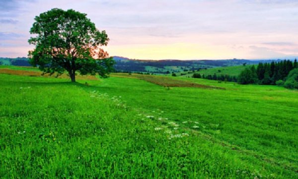 file_82621178