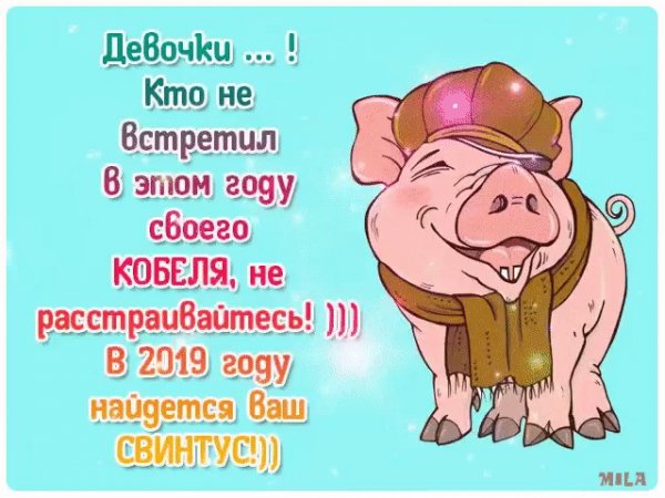 file_75594253