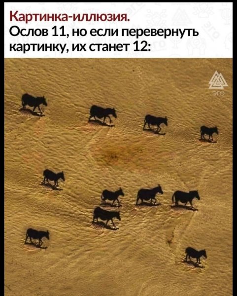 FB IMG 1778784298755