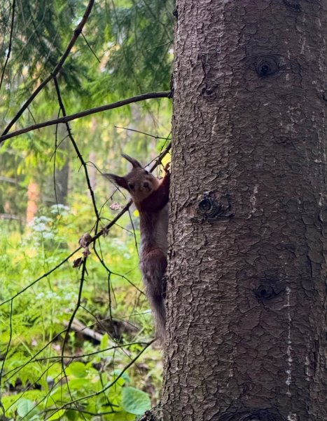 IMG 20250616 122554 227