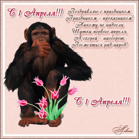 getImage (6)