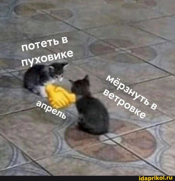 c59678bcd7c18c716e2fe753fb7f169367b3f180 1