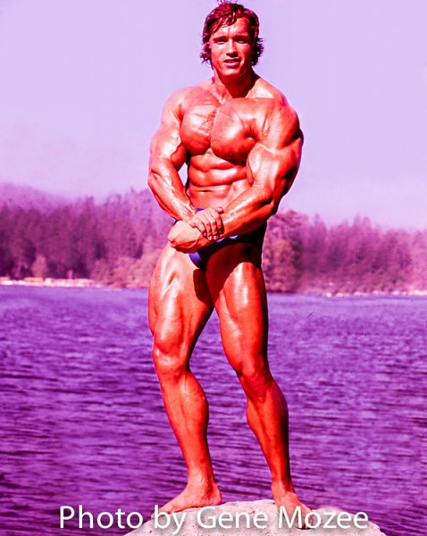 Mozee-Arnold-color002-Edit-Edit-Edit