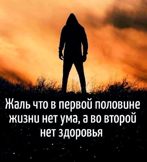 file_98784161