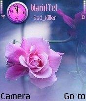 theme 48419