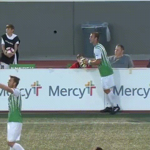 InsidiousSpecificHorsechestnutleafminer-mobile