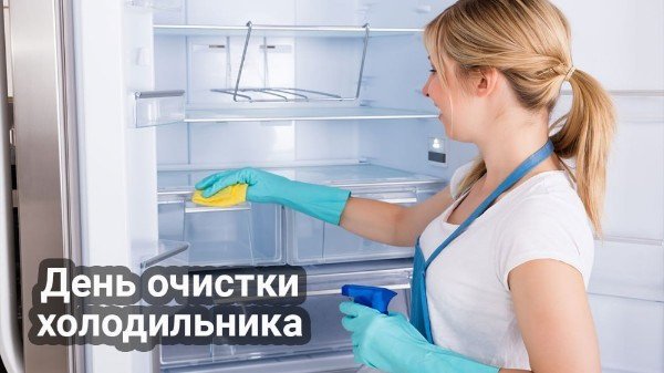 file_95068890