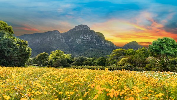 Kirstenboschgardensouthafrica shutterstock 1920x1080