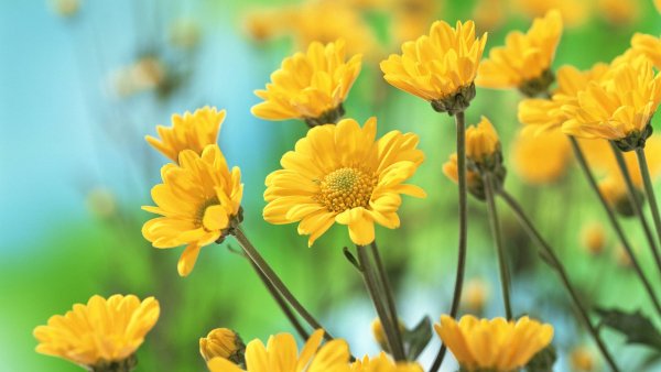 file_82612002
