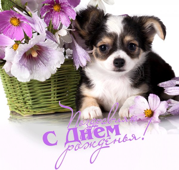 С Днём Рождения!