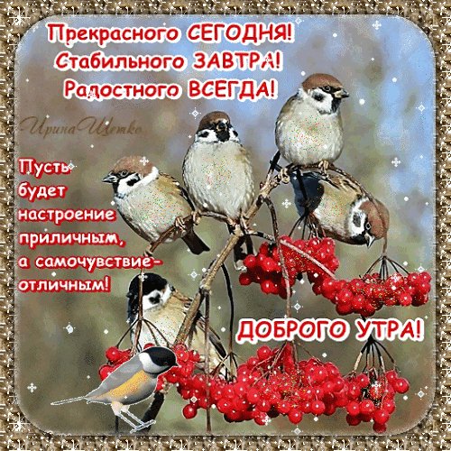 Анимированная открытка прекрасного сегодня