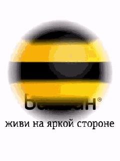 Билайн2