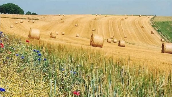 Уборочная страда..