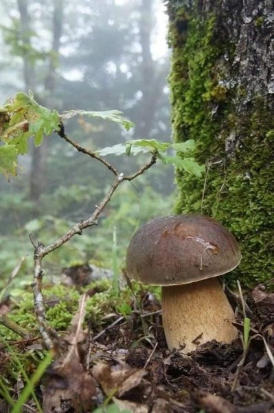 FB IMG 1715016334671