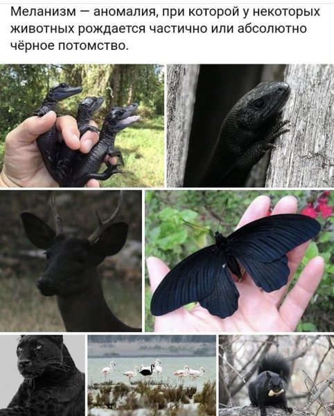 bc2fbdfd44befe8149cf79f16a71