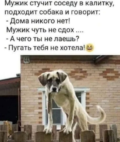 FB IMG 1774291314398