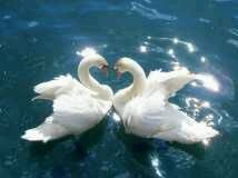 file_59169654