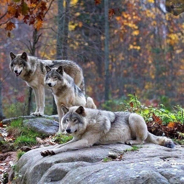 file_101552943