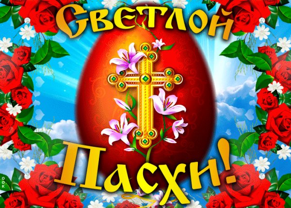 GIF-80bf8bd88f97840a739f13f88f6e31a3