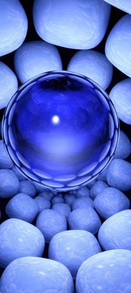 adapted 1080x2408 1776490421