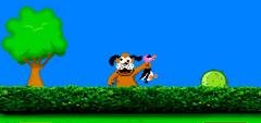 Duck Hunt