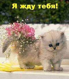 Л3.5ddfea343e976e6c653f88397c27a6fe