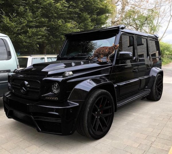 4e7782a273517fc088b0a