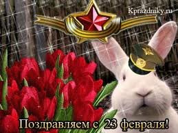 images (11)