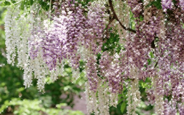 0 1422f4 e18821eb XXL