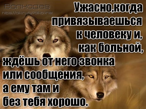 IMG 20190720 211748