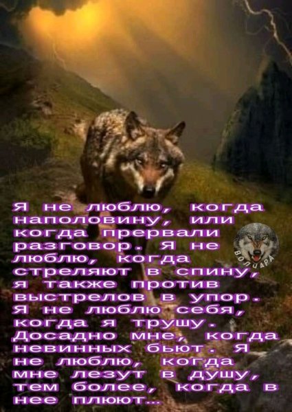 FB IMG 16375336383961363