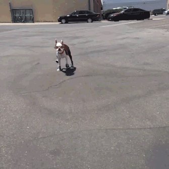 AJjj4ck42