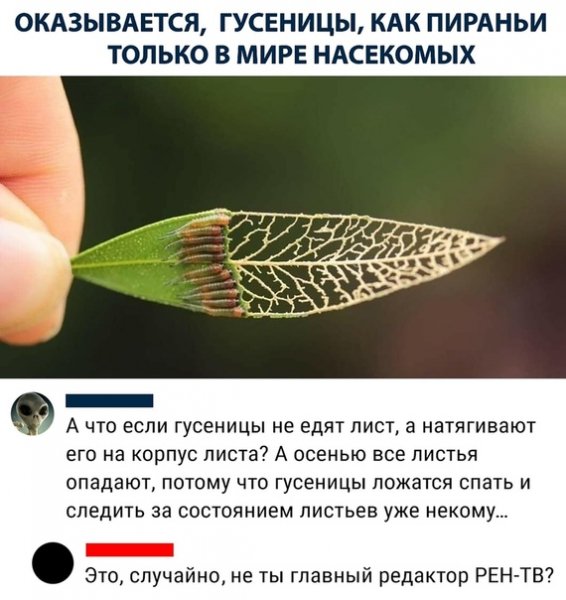 G5esij98Eoo