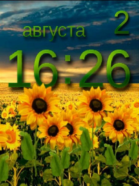 Подсолнухи