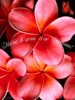 file_46016142