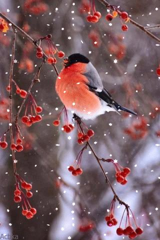 file_76415477