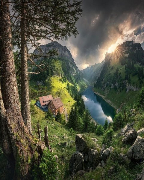 file_97811055