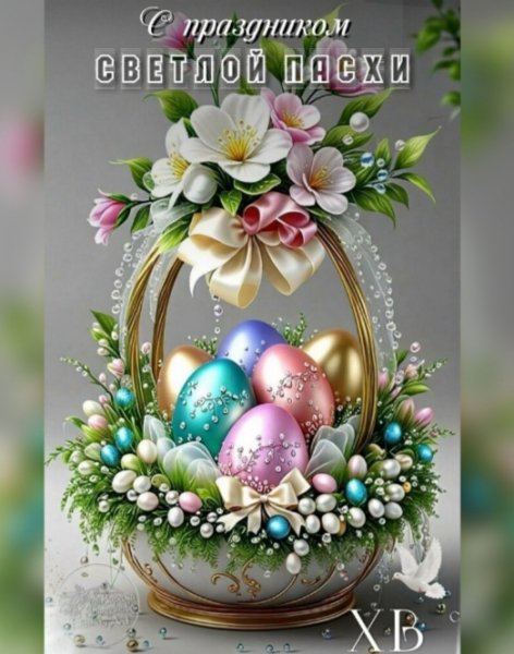 IMG 20260412 203050
