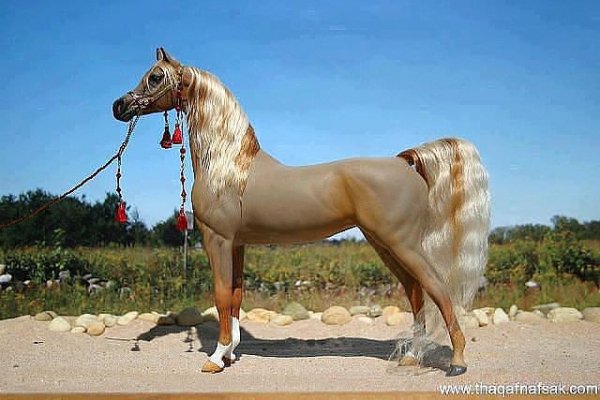 Арабская лошадь