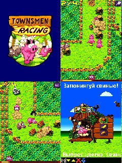 TownsmenRacingHack