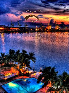 file_58181043