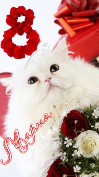 file_39192251