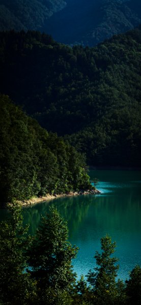 file_96353129