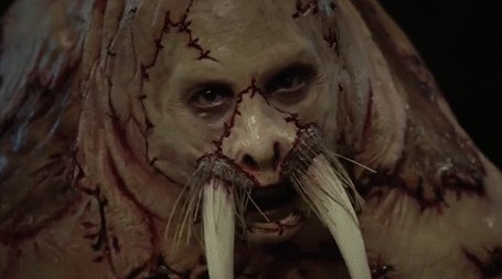 tumblr nrhqa6vXbu1ritwe4o1 500