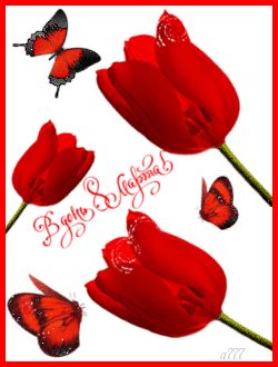 BE6IleBQ