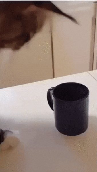 гг