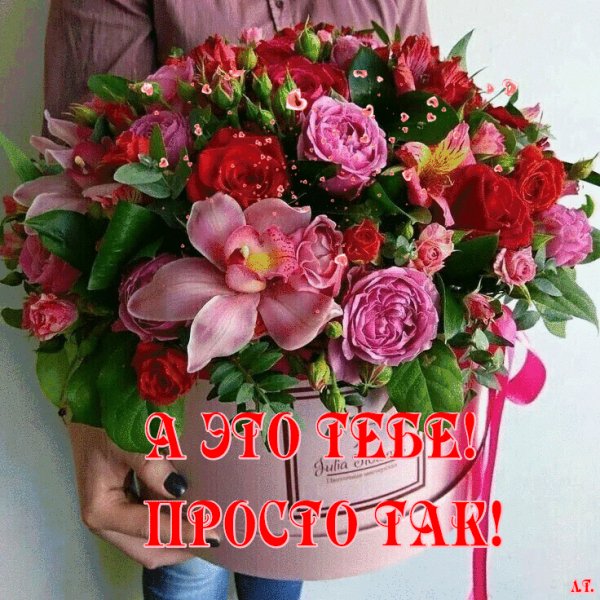 IMG 20211126 210151
